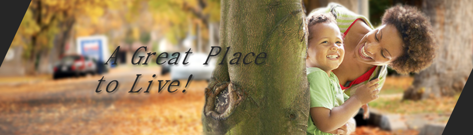 Tree_lined_street
